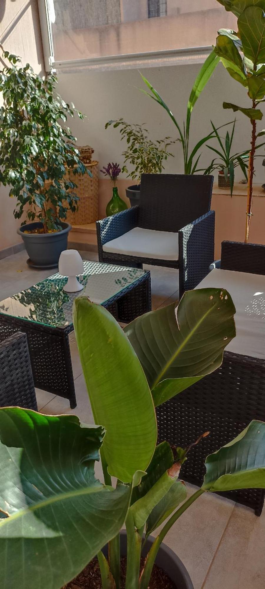 B&B Alghero Reina Exteriör bild